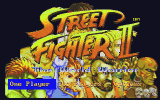 Street Fighter II IBM
