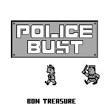 Police Bust